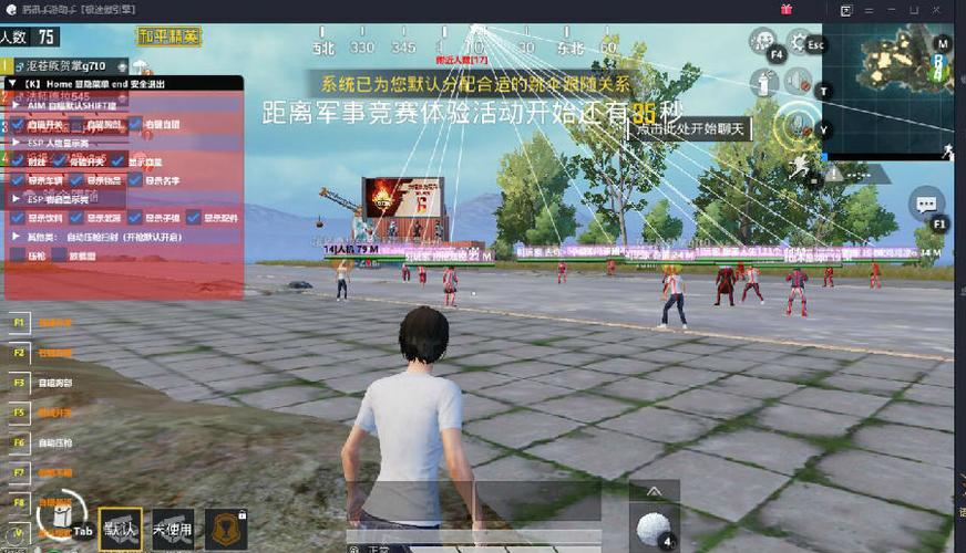 和平精英《向日葵》外挂
